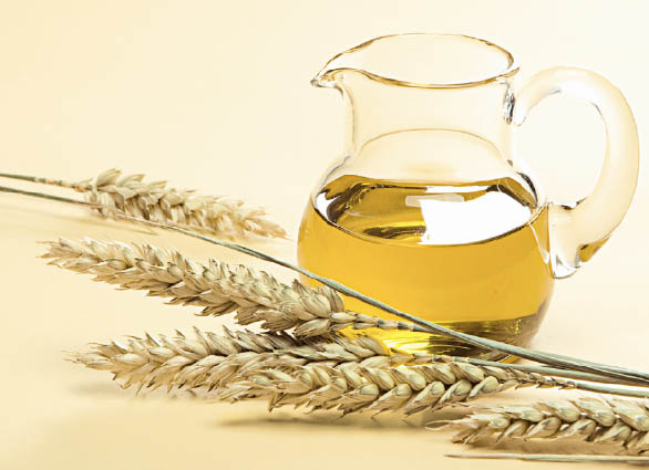 масло зародышей пшеницы для волос  применение