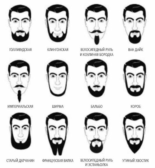 виды бород