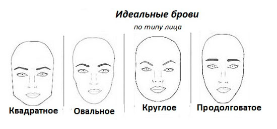 форма бровей по типу лица